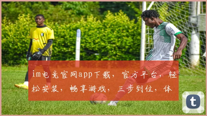 im电竞官网app下载，官方平台，轻松安装，畅享游戏，三步到位，体验非凡